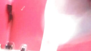 الساخنة الشعر البني العاهرة الحيوانات سكس مدبلج الأليفة مهبلها بعد عشاء رومانسي