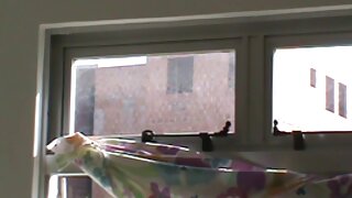 طويل الساقين وشم امرأة سمراء بريسلي سكس احترافي عالمي مترجم عربي داوسون استمنى بوسها و يعطي بوف اللسان